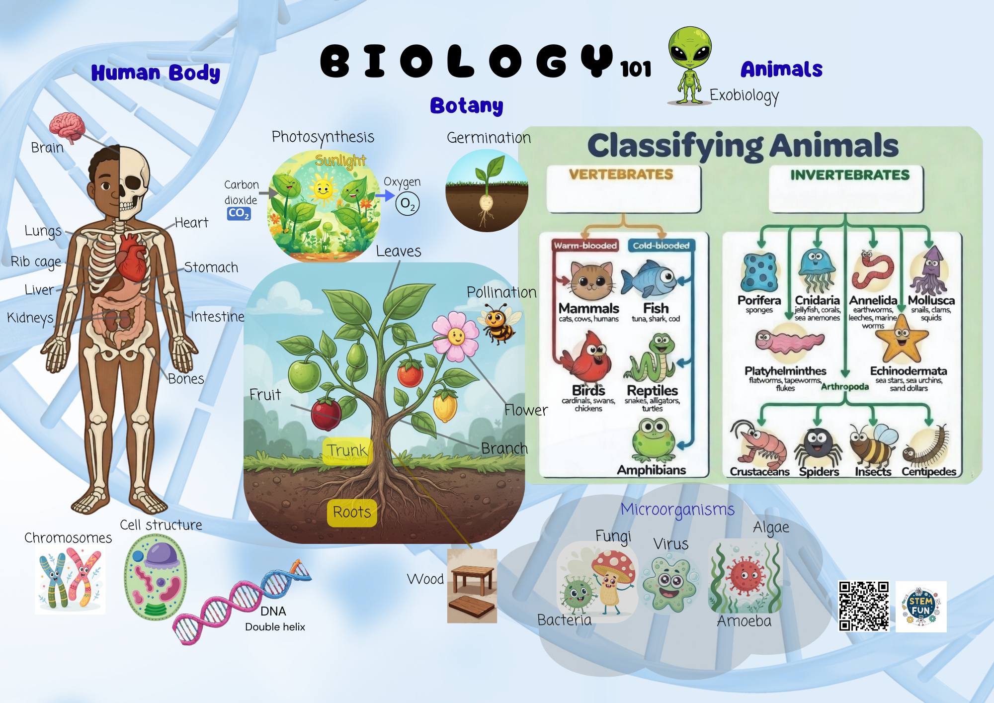 Biology 101 Complete Collection
